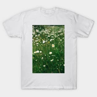 Daisies T-Shirt